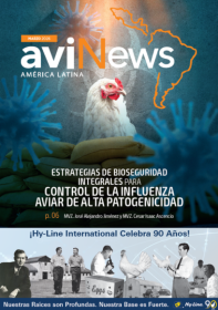 Métodos clave para preservar el color amarillo del pollo