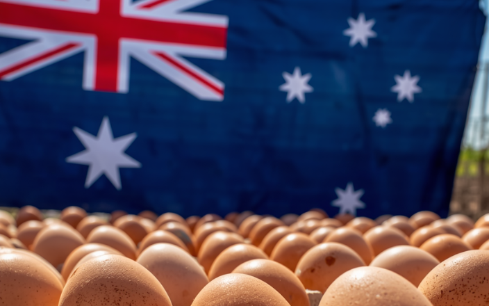 Australian egg production to rise