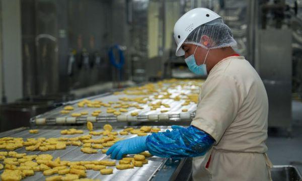 INDUSTRIA AVÍCOLA NUGGETS POLLO