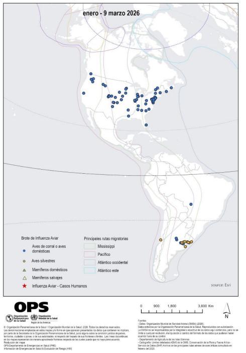 INFLUENZA AVIAR H5N1 EN LAS AMÉRICAS