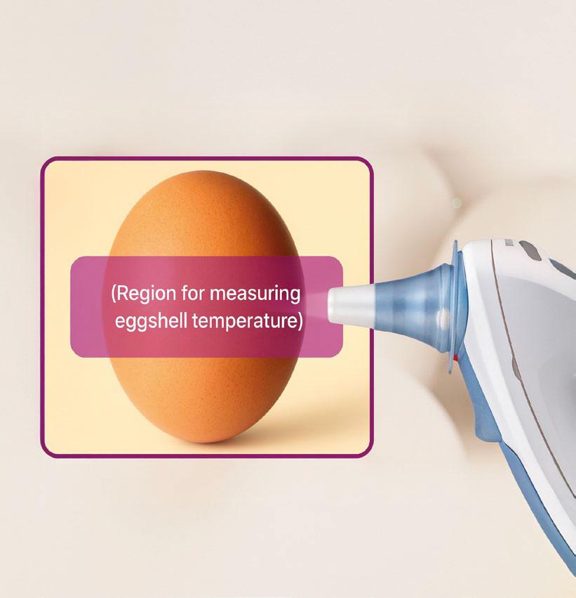 Eggshell temperature