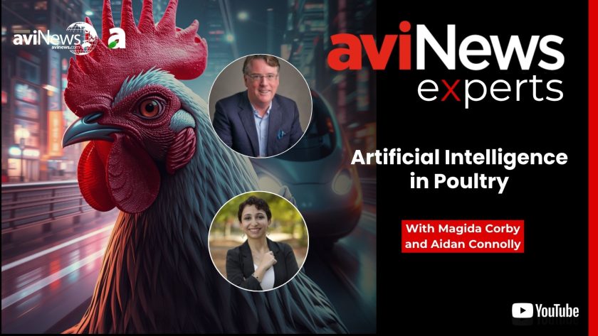 Artificial Intelligence in poultry: The ‘Bullet Train’ moment transforming the industry
