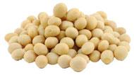Soy