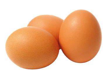 Eggshell temperature