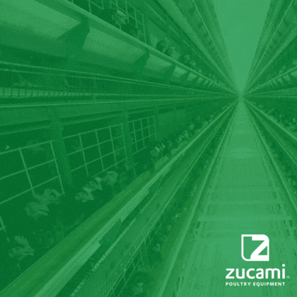 http://Zucami%20LATAM%202026