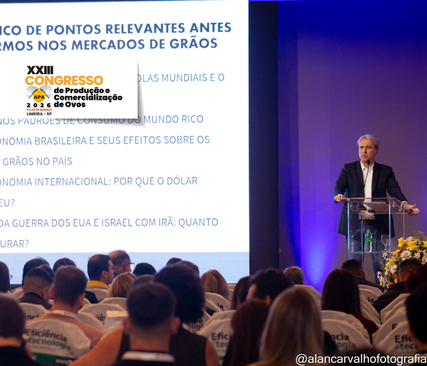 A maré dos grãos: quando a força do mercado de grãos redefine os custos da produção de ovos