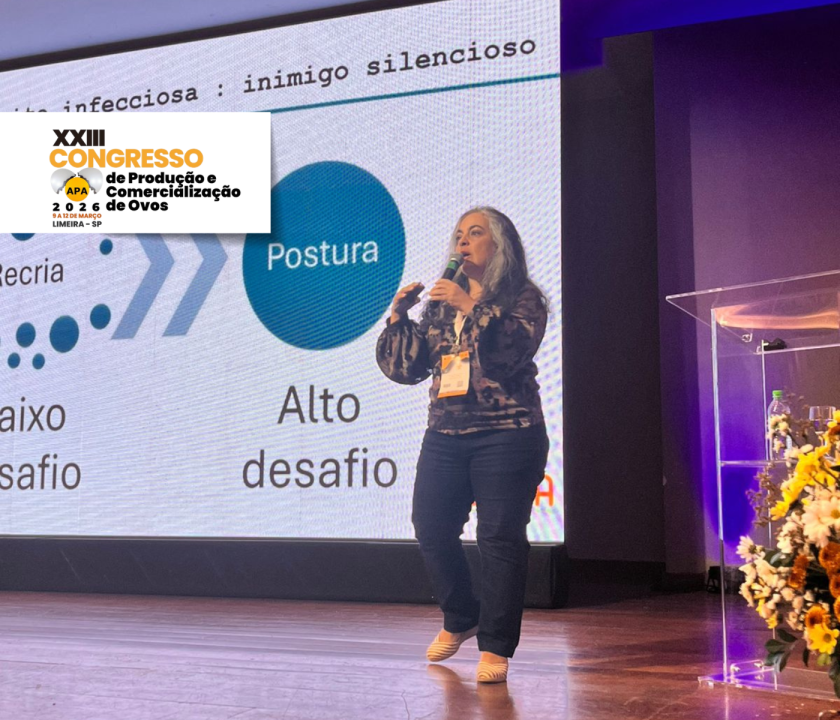 Bronquite infecciosa compromete desempenho e persistência produtiva em aves de vida longa, exigindo vigilância sanitária constante.