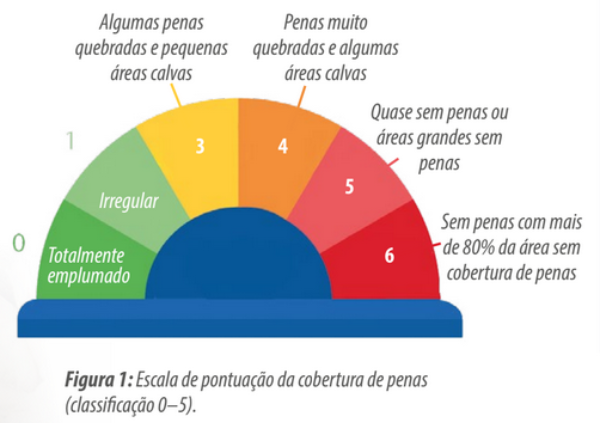 Figura 1: Escala de pontuação da cobertura de penas (classificação 0–5). 2 3