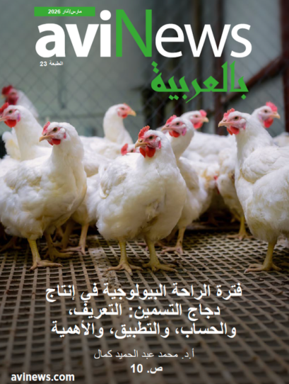 AviNews بالعربيّة مارس/آذار 2026