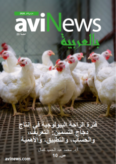 AviNews بالعربيّة مارس/آذار 2026 AviNews Arabic
