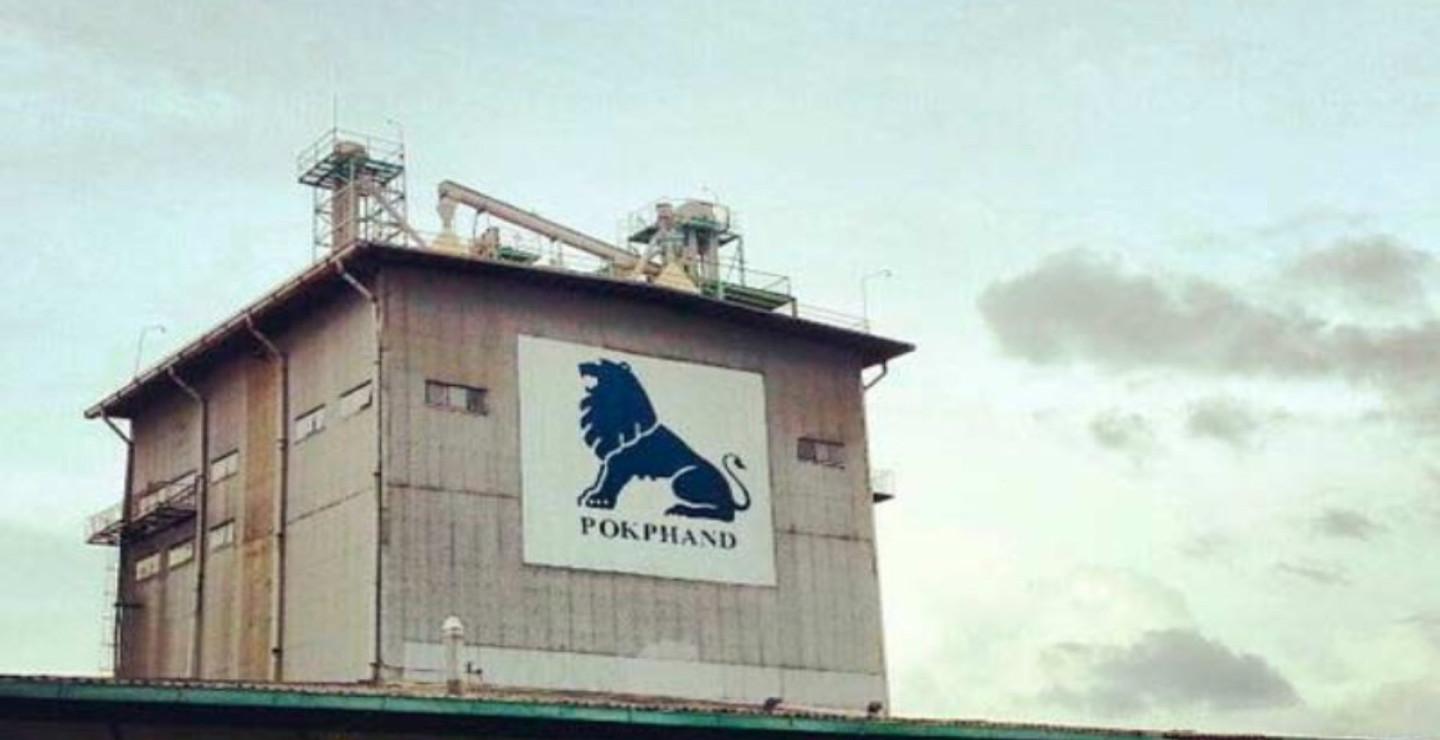 Perunggasan