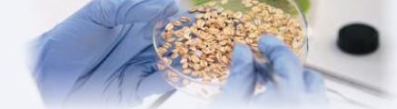 Bases para establecer un programa de producción de pollo libre de antibióticos