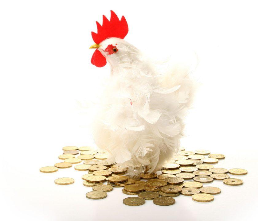 pollo con monedas