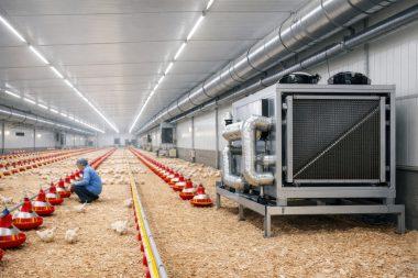 sistema de ventilación dentro de galpon