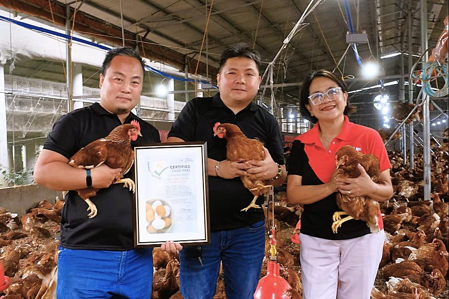 Batangas farm earns province’s first cage-free certification