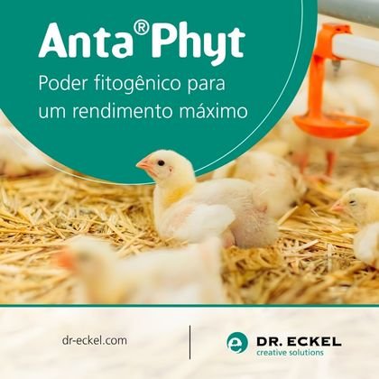 http://Banner%20Dr.%20Eckel%202026%20Brasil