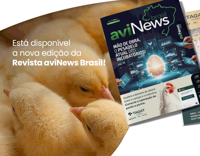 Sumario Cobb-Vantress debate manejo de frango para melhor desempenho no Avicultor 2022