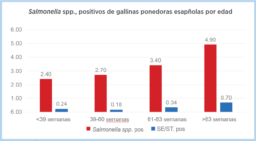 vacunación contra Salmonella en gallinas ponedoras
