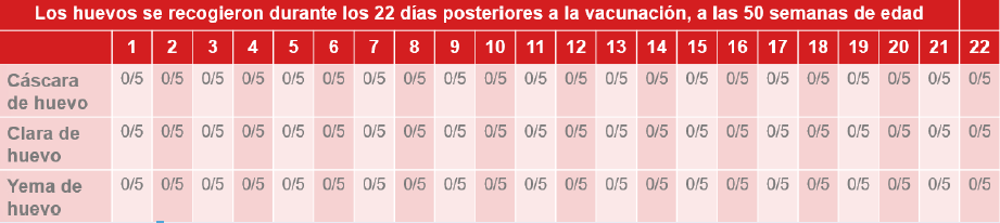 vacunación contra Salmonella en gallinas ponedoras