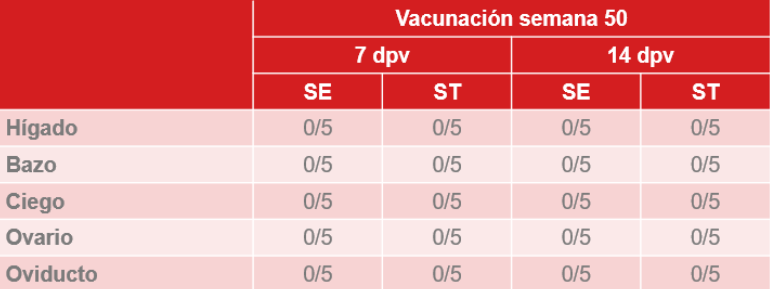 vacunación contra Salmonella en gallinas ponedoras