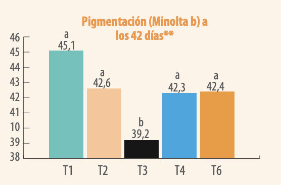 Pigmentación (Minolta b) a los 42 días