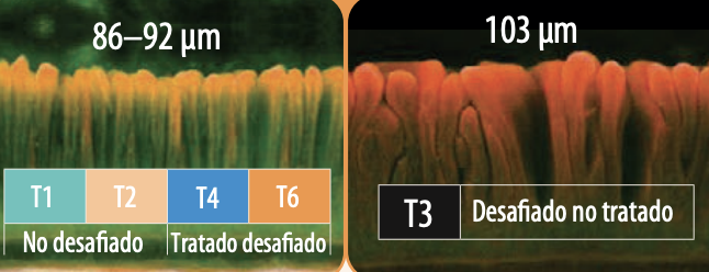 µm