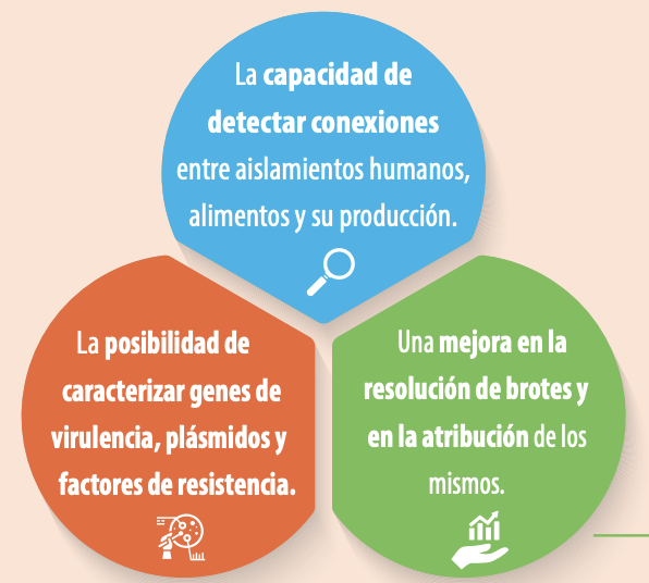 Comprensión de la salmonella