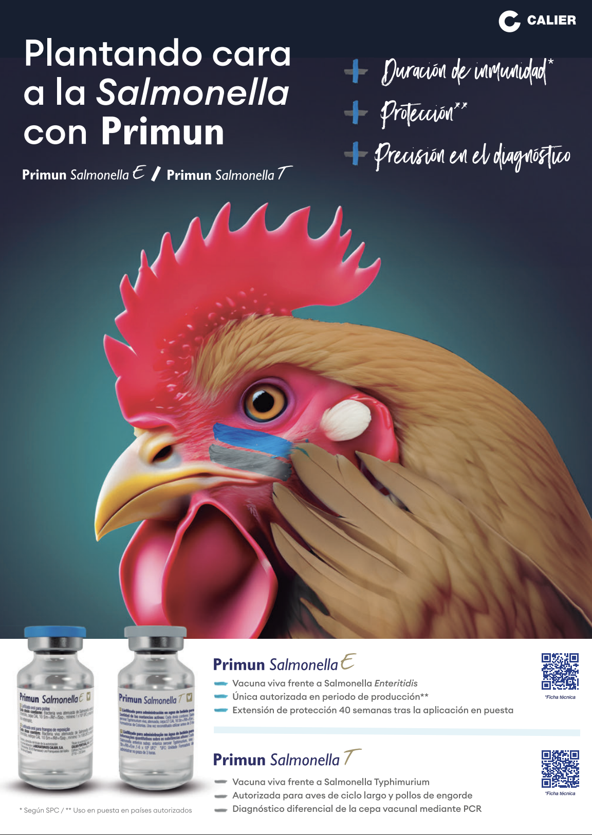 Publicidad Calier