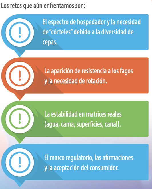 Retos que enfrentamos