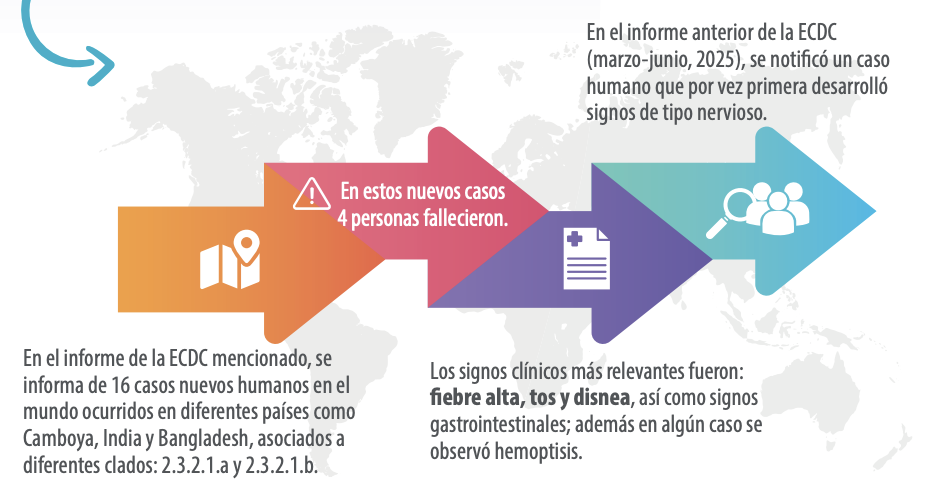 Grafico
