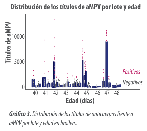 Gráfico 3. Distribución de los títulos de anticuerpos frente a aMPV por lote y edad en broilers.