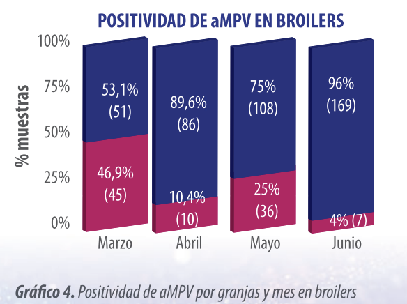Gráfico 4. Positividad de aMPV por granjas y mes en broilers