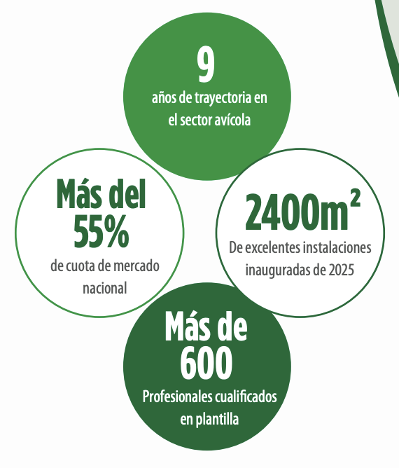 Grafico Serproavi