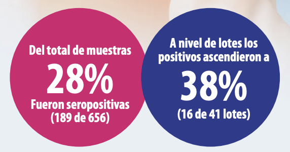 Grafico