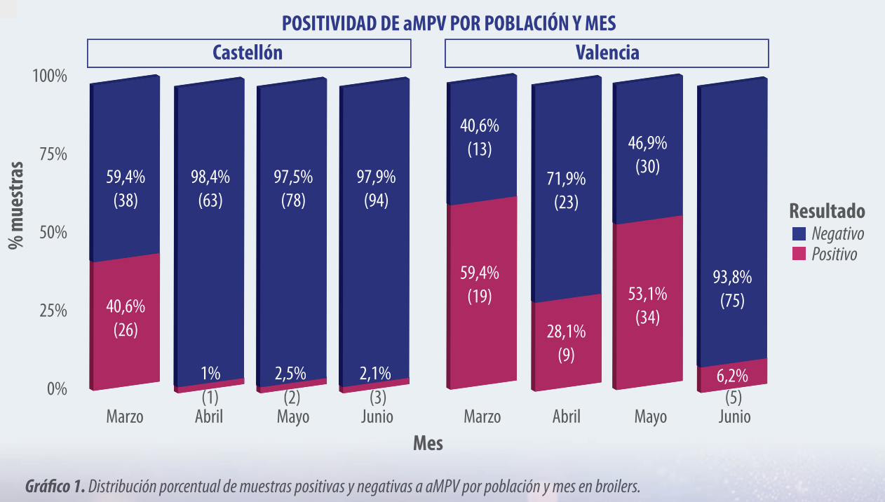 Grá co 1. Distribución porcentual de muestras positivas y negativas a aMPV por población y mes en broilers.