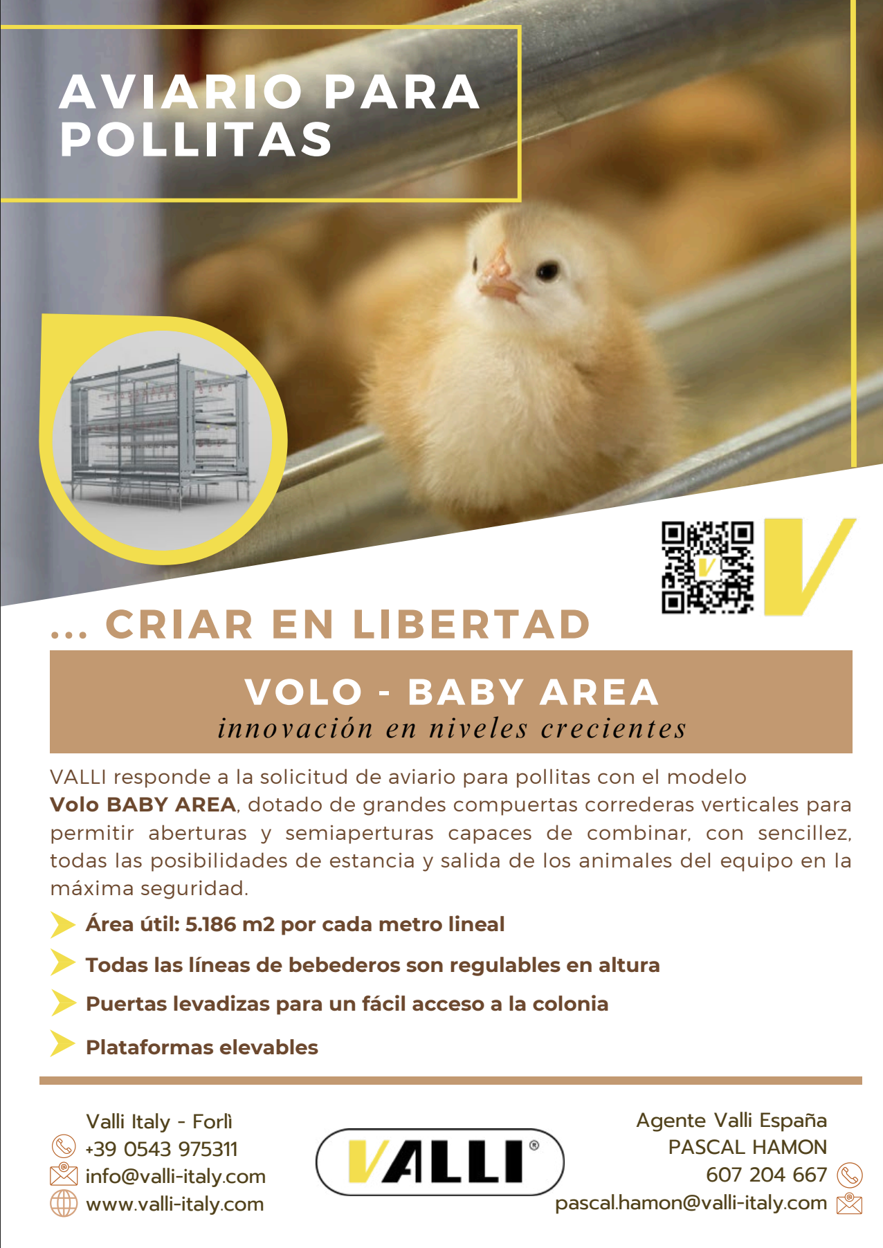 Anuncio Valli