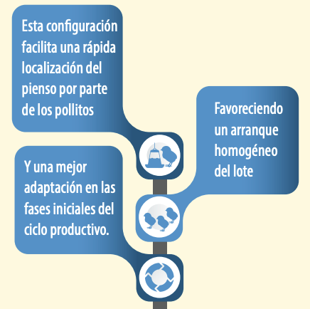 Grafico