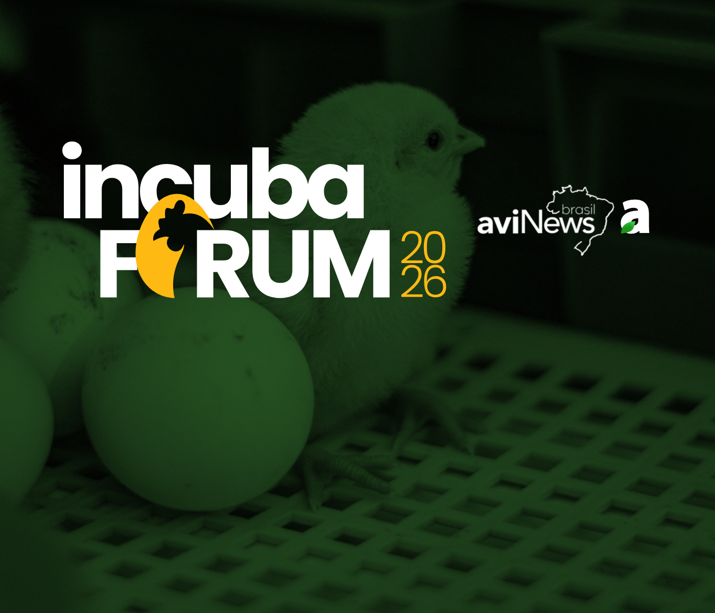 Incubação