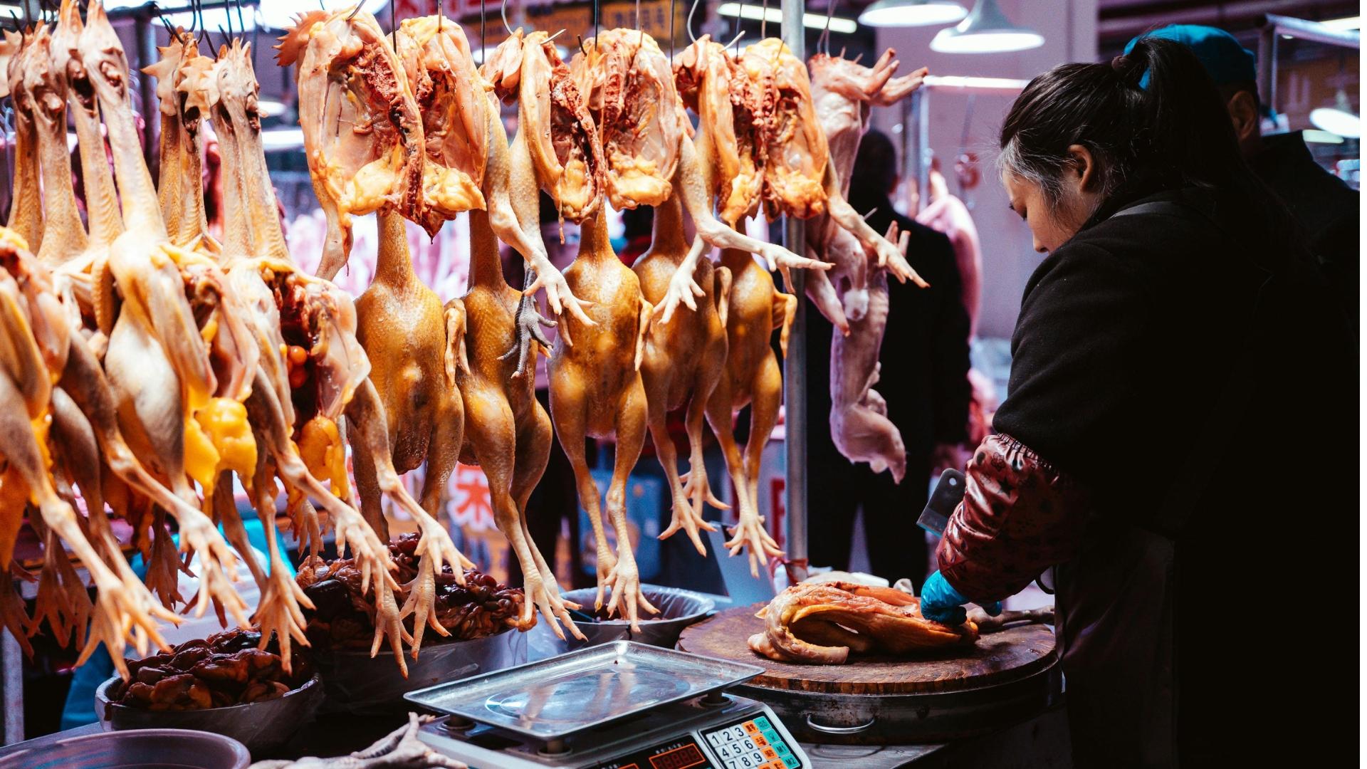 Poultry