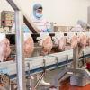 Processed Chicken