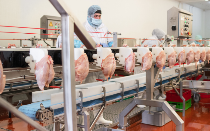 Technological Innovations in Processed Chicken Meat