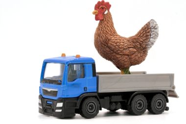 animación transporte gallinas