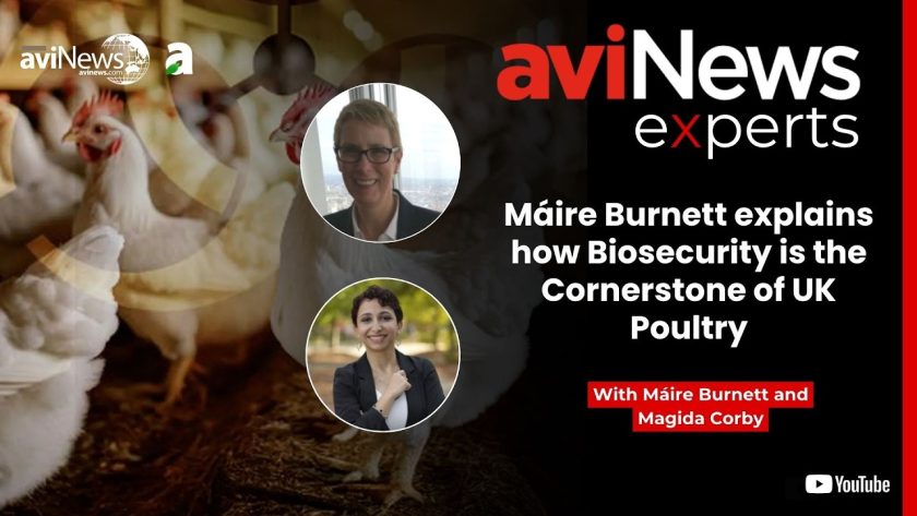 Máire Burnett explains how biosecurity is the cornerstone of UK Poultry