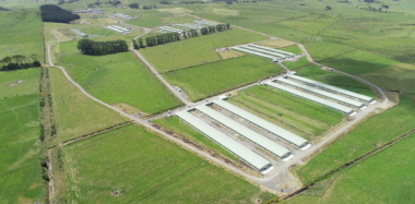 Cobb-Vantress New Zealand gains first poultry compartment status