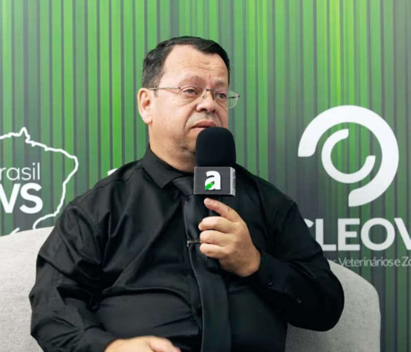 Qualidade de carcaça piora com abate lento, elevando perdas, custos e reduzindo rendimento na indústria avícola