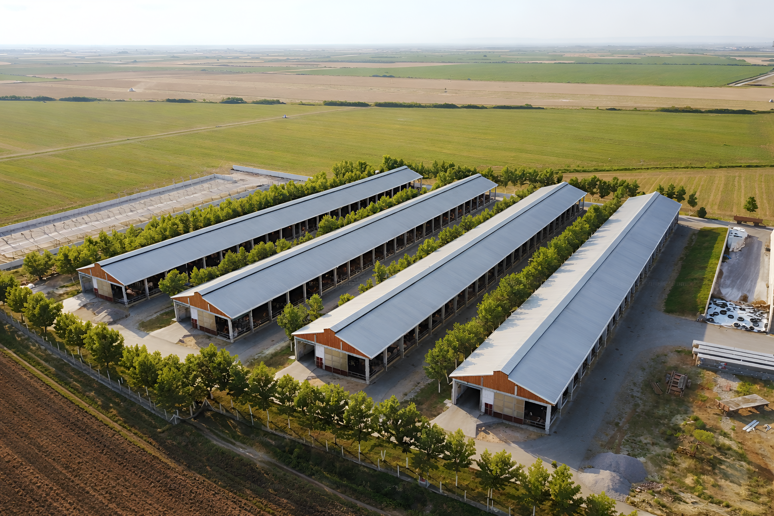 Global food systems under strain, poultry at the crossroads