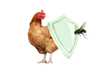 El metopreno como pilar principal en los programas de control de insectos en avicultura