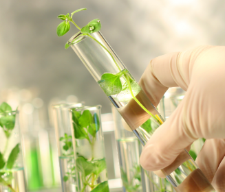 BioCholine®: 22 años de innovación en colina natural con validación científica