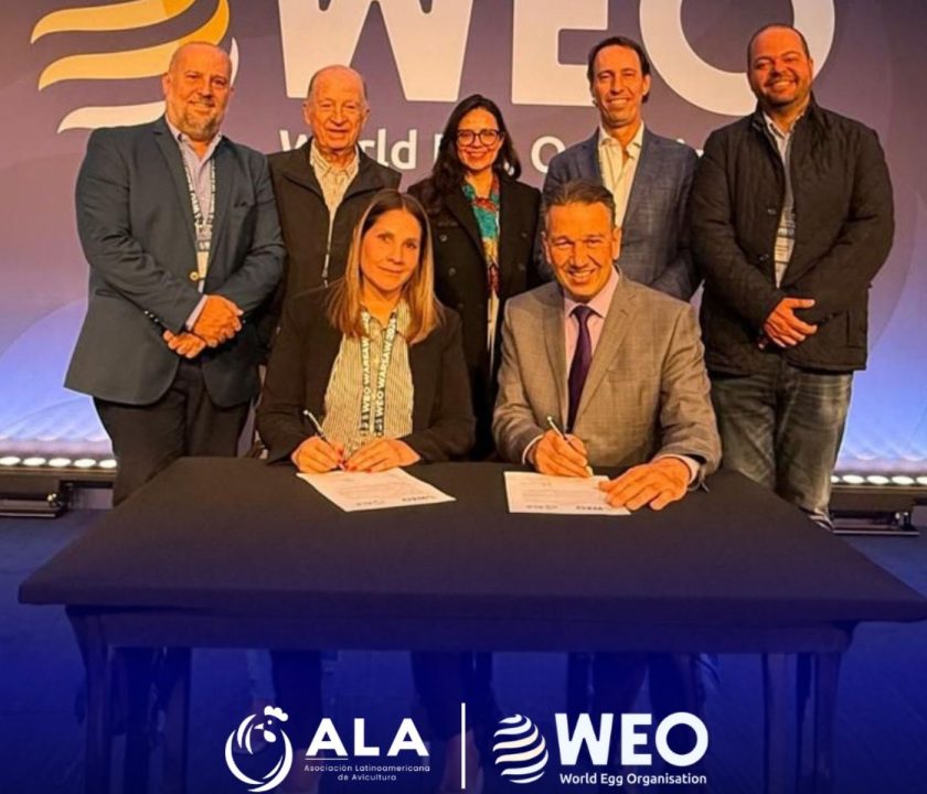 Latinoamérica consolida su rol en una nueva alianza global avícola - Alianza industria avícola huevo ALA y WEO