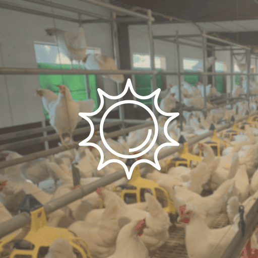 Layer Management under Hot Climate